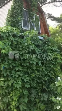 Дом в Новосибирская область, Новосибирск Пион садовое товарищество, ...