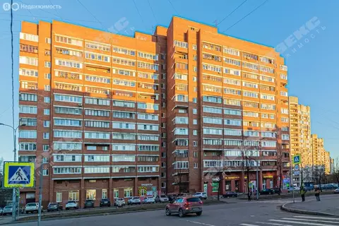 1-комнатная квартира: Санкт-Петербург, улица Руднева, 25 (34.4 м)