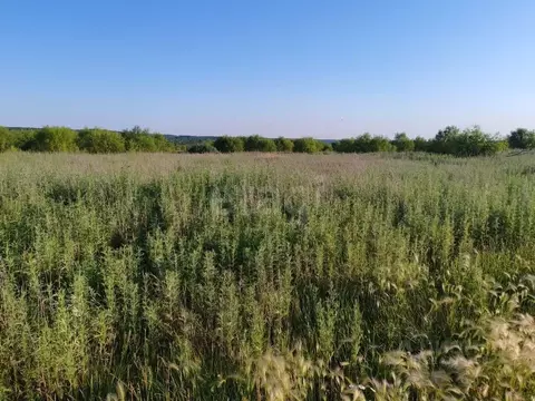 Участок в Амурская область, Благовещенский район, с. Новотроицкое  ...