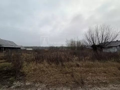 Участок в Владимирская область, Гусь-Хрустальный муниципальный округ, ...