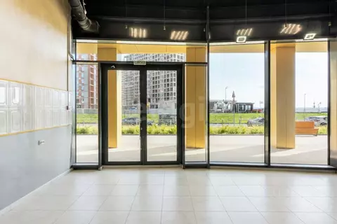 Помещение свободного назначения в Санкт-Петербург ул. Челюскина, 10 ...