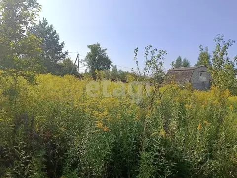 Участок в Брянская область, Брянский район, Снежское с/пос, пос. ...