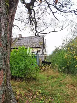 Участок в Ленинградская область, Приозерский район, Плодовское с/пос, ...