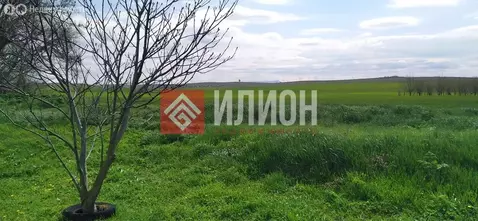Участок в Симферопольский район, посёлок городского типа Николаевка ...