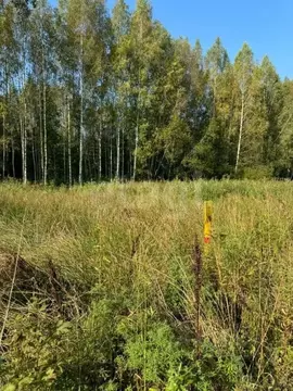 Участок в Ленинградская область, Приозерский район, Красноозерное ...