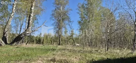 Участок в Калманский район, село Зимари (20 м)