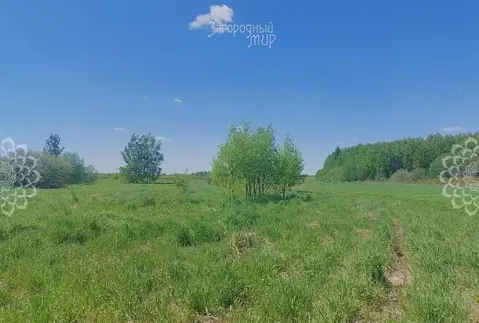 Участок в Московская область, Богородский городской округ, д. Старые ...