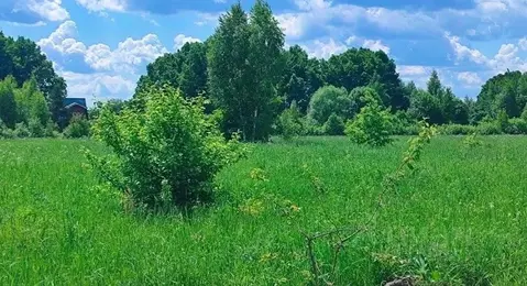 Участок в Московская область, Раменский муниципальный округ, д. ...