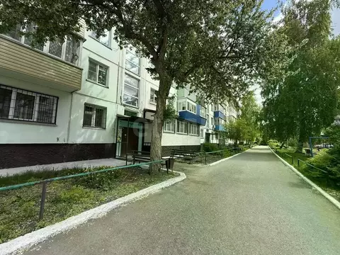 1-к кв. Алтайский край, Бийск ул. Вали Максимовой, 7 (31.5 м)