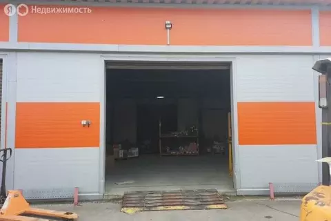 Помещение свободного назначения (50 м)