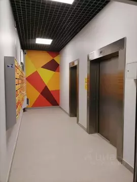 Студия Санкт-Петербург пос. Шушары, просп. Старорусский, 13к1 (23.0 м)