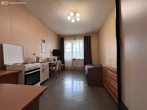 Квартира-студия: посёлок Шушары, Вилеровский переулок, 6 (23.6 м)