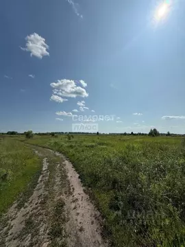 Участок в Пензенская область, Кузнецк Начальный проезд (15.0 сот.)