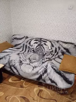 1-к кв. Самарская область, Сызрань просп. 50 лет Октября, 42 (35.0 м)