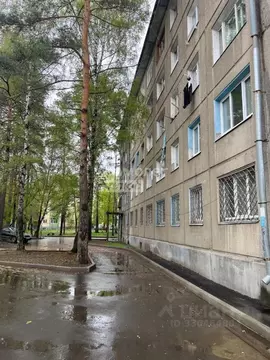 1-к кв. Иркутская область, Ангарск 91-й кв-л, 18 (33.0 м)