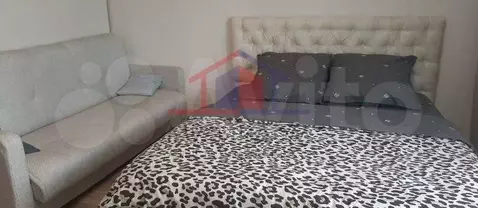 Студия Белгородская область, Старый Оскол Дубрава мкр, 1 кв-л, 22 ...