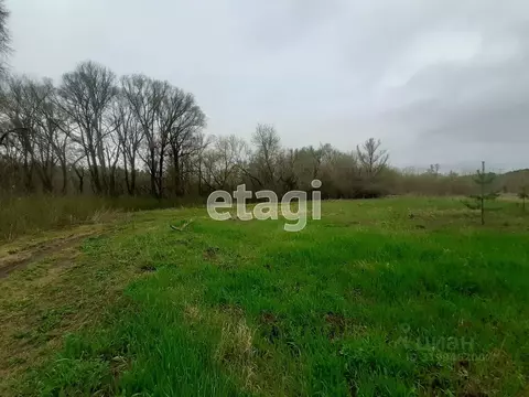 Участок в Белгородская область, Яковлевский муниципальный округ, с. ...