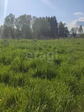 Участок в Вологодская область, д. Пестово  (19.4 сот.)