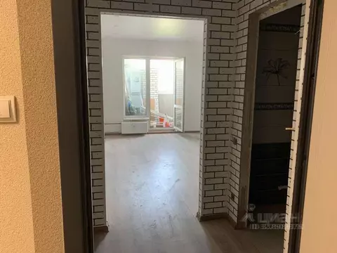 Студия Ленинградская область, Ломоносовский район, Аннинское городское ...