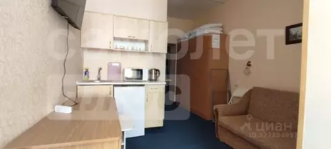 Студия Крым, Ялта муниципальный округ, Симеиз пгт ул. Владимира ...