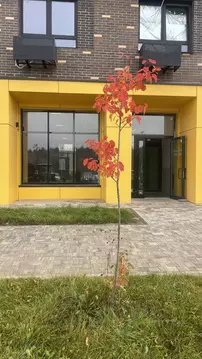 2-к кв. Московская область, Химки городской округ, д. Юрлово к1/1 ...