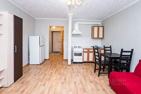 Студия Амурская область, Благовещенск Зейская ул., 285 (26.6 м)