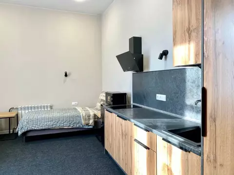 1-к кв. Забайкальский край, Чита ул. Ленина, 151к1 (20.0 м)