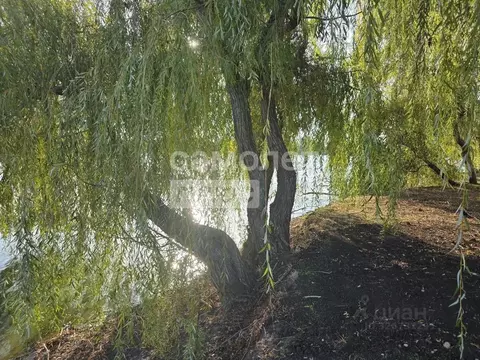 Участок в Краснодарский край, Динской район, Старомышастовская ст-ца ...