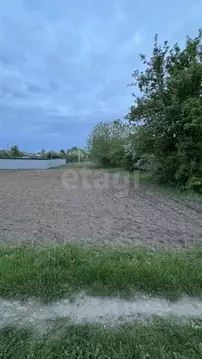 Участок в Брянская область, Брянский район, Мичуринское с/пос, Заря ...
