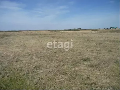 Участок в Курганская область, Кетовский муниципальный округ, Родные ...