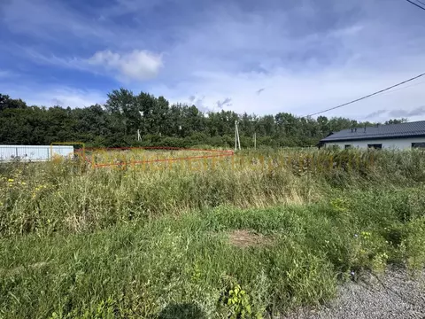 Участок в Новосибирская область, Новосибирский район, Морской ...