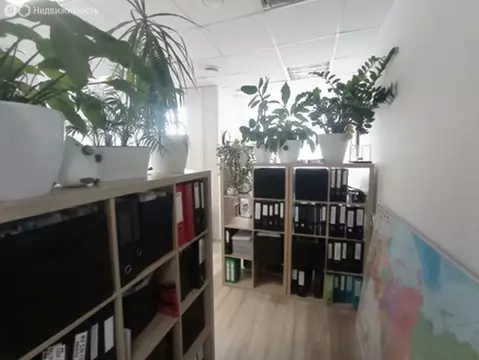 Офис (98 м)