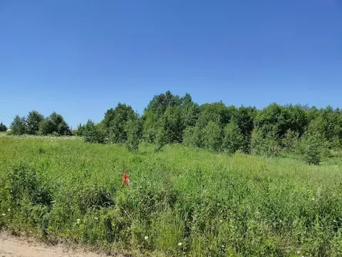 Участок в Московская область, Клин городской округ, Степаньковские ...