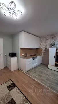 Студия Ленинградская область, Ломоносовский район, Аннинское городское ...