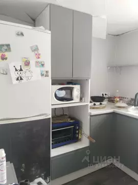 Дом в Омская область, Омск СОСН ОмИИТ тер.,  (56 м)