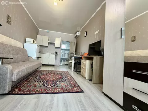 Квартира-студия: село Супсех, Советская улица, 51 (23.3 м)