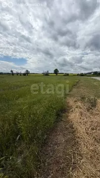 Участок в Белогорск, улица Муарема Мартынова (8 м)