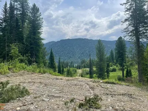 Участок в Алтай, Турочакский район, с. Артыбаш  (64.0 сот.)