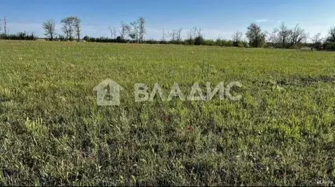 Участок в Крым, Симферопольский район, Николаевка пгт ул. Лесная (6.0 ...