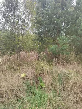 Участок в Московская область, Коломна городской округ, д. Барановка ...