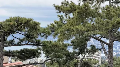 Дом в Крым, Ялта муниципальный округ, Восход пгт ул. Наташинская (155 ...