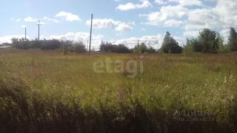 Участок в Брянская область, Трубчевск пер. 2-й Овражный (10.5 сот.)