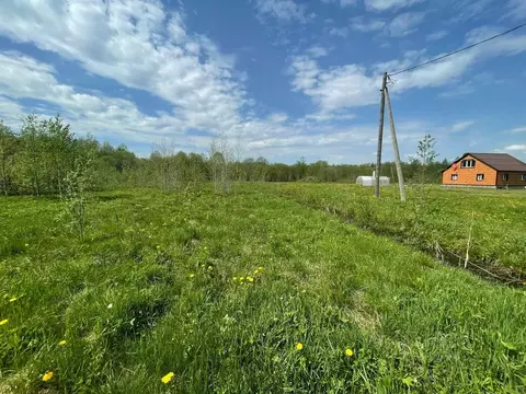 Участок в Вологодская область, Шекснинский муниципальный округ, ...
