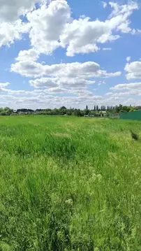 Участок в Белгородская область, Старооскольский городской округ, с. ...