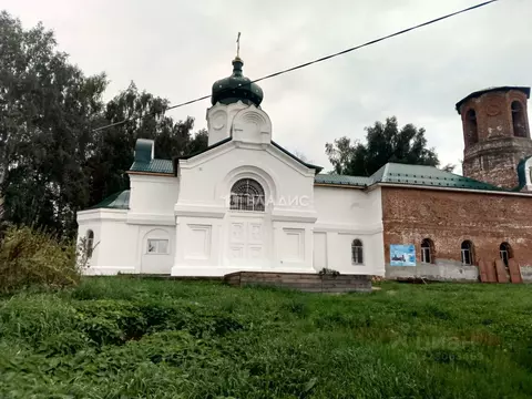 Участок в Нижегородская область, Богородский муниципальный округ, с. ...