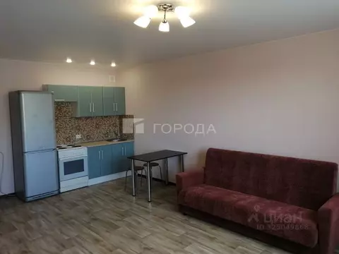 Студия Новосибирская область, Новосибирск ул. Плющихинская, 3 (33.0 м)