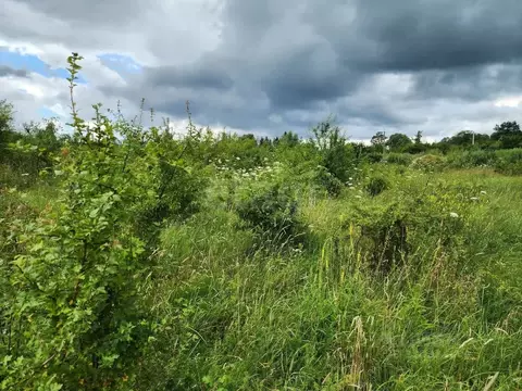 Участок в Калининградская область, Багратионовский муниципальный ...
