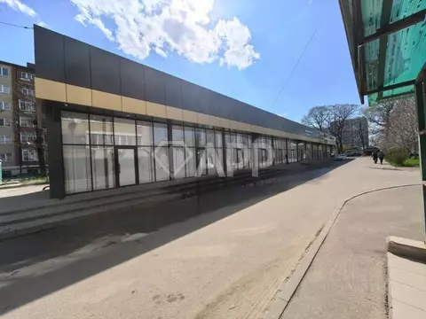 Помещение свободного назначения в Краснодарский край, Краснодар ул. ...