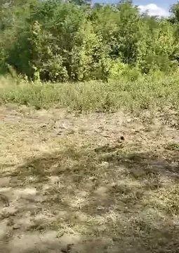 Участок в Ростовская область, Аксайский район, Большелогское с/пос, ...