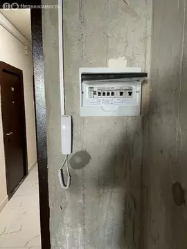 Квартира-студия: Аннинское городское поселение, деревня Куттузи, ...